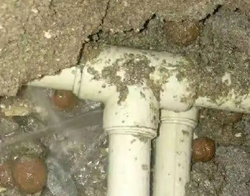 成武测漏水多少钱