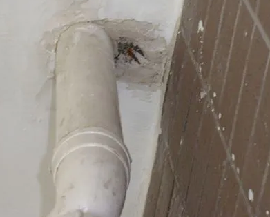 成武漏水检测哪家好